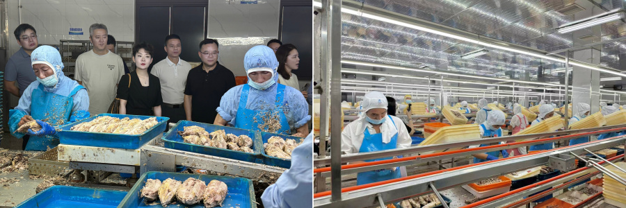 1760080341787104McEJ.jpg 圖5_副本_副本.jpg